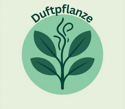 Duftpflanze1